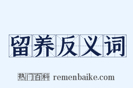 留养反义词是什么意思的图片